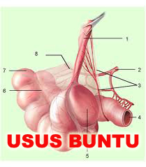 an image of a condition called 'usus buntu'